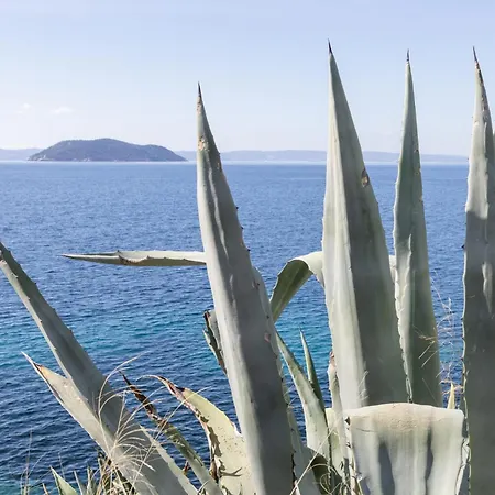 Sunset Cove By Halu! - Spacious 4-bedroom Appartamento *